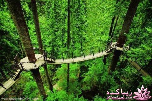 ایده های سوپرایزی + عکس